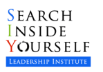 SIY Institute