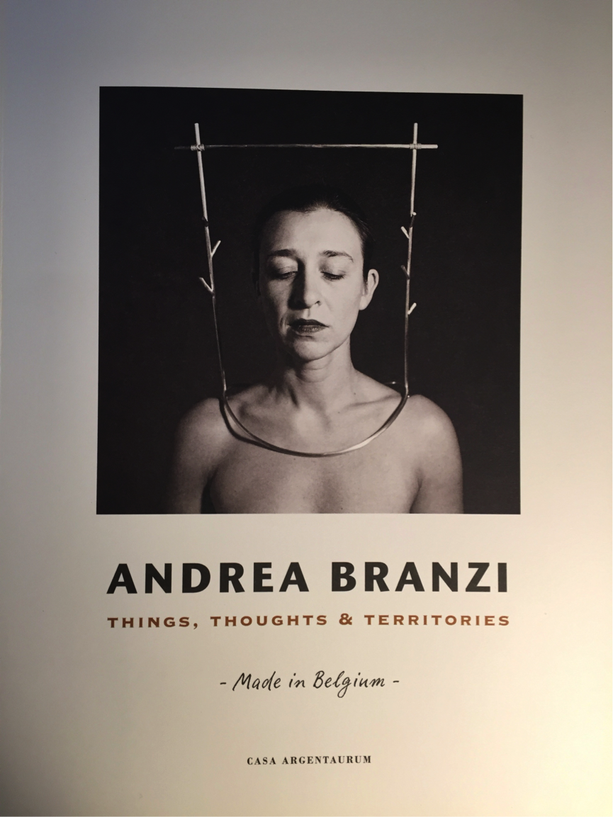book-andrea-branzi