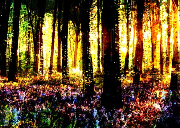 doig-study-v2-selected-for-study